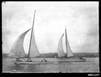 Yachts sailing near Cremorne, Sydney Harbour