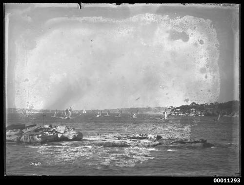 18-footer  fleet on Sydney Harbour near Shark Island