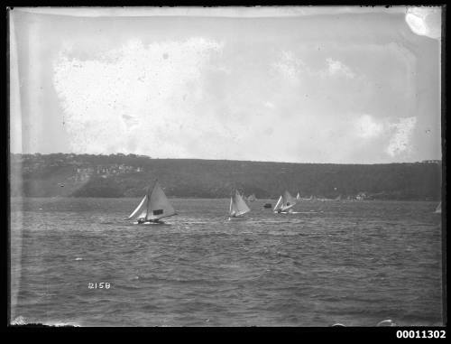 18-footers AUSTRALIA and ROSETTA with SASC boat SNOWDROP A4 on Sydney Harbour, INSC 2158