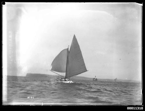 SASC yacht SEA ROVER (A33) on Sydney Harbour, INSC 2166