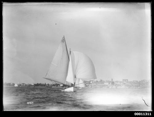 SASC yacht SEA ROVER on Sydney Harbour, INSC 2167