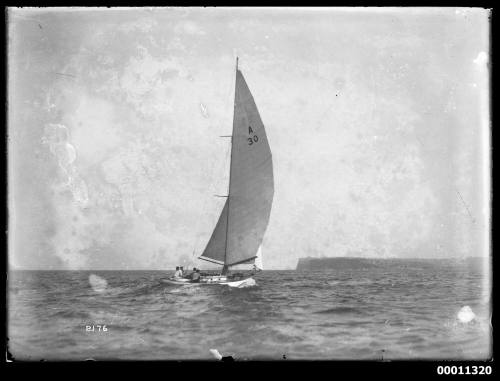 SASC yacht CAPRICE (A30) on Sydney Harbour, INSC 2176