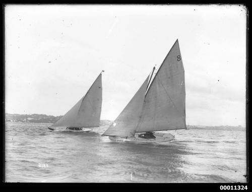 Yachts on Sydney Harbour, INSC 2182