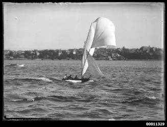 Small skiff sailing near Point Piper, Sydney Harbour