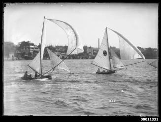 16-foot skiffs racing off Balmain on Sydney Harbour