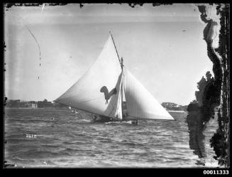 Large skiff under sail on Sydney Harbour