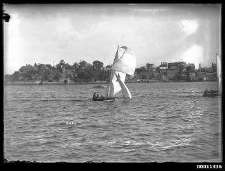 16-footers on Sydney Harbour, INSC 2214