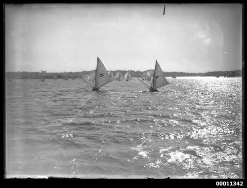 16-foot skiffs on Sydney Harbour, INSC 2218