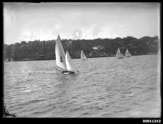 16-foot skiffs on the Parramatta River, inscribed 2219