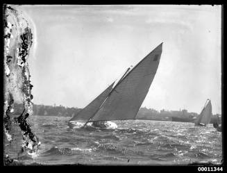 Gaff sloop THE RIP sailing on Sydney Harbour