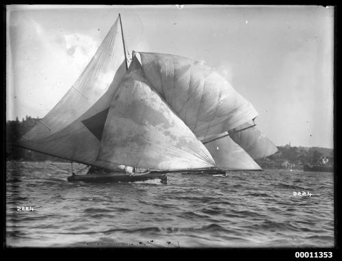 18-footers in a close race on Sydney Harbour