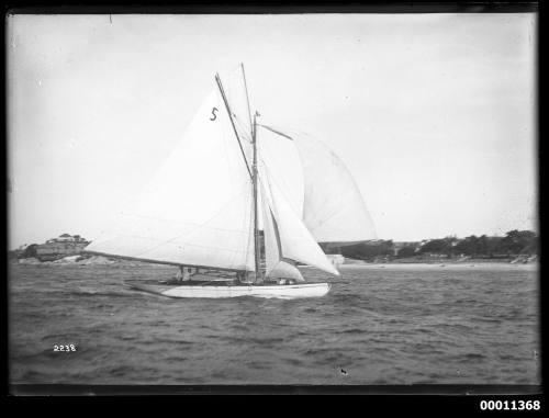 Sailing vessel on Sydney Harbour, INSC 2238