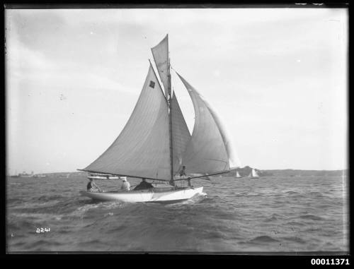 Yacht ATHENE on Sydney Harbour, INSC 2241