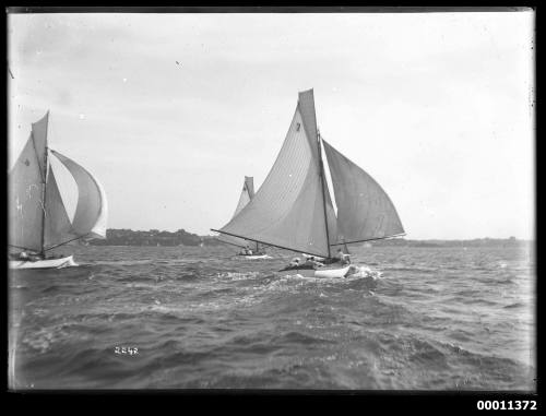 Yachts racing on Sydney Harbour, INSC 2242