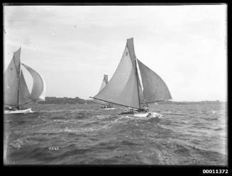 Yachts racing on Sydney Harbour, INSC 2242