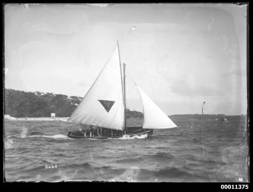 16-foot skiff on Middle Harbour, INSC 2246