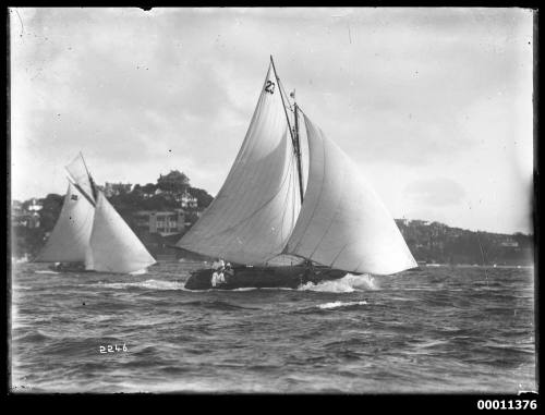 Yachts ATHENE and one other racing on Sydney Harbour, INSC 2246