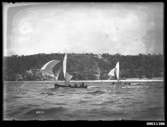 16-foot skiffs on Middle Harbour off Clontarf shore, inscribed 2251