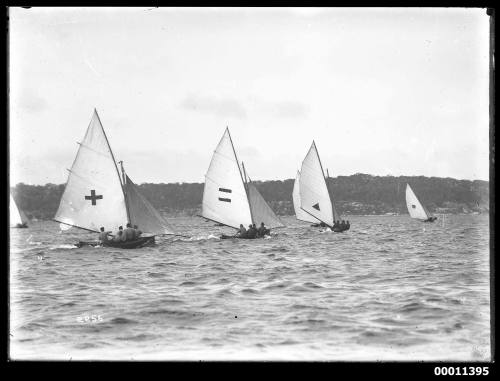 16-foot skiffs on Middle Harbour