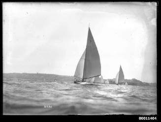 NORN pursuing the big yacht fleet on Sydney Harbour, INSC 2261