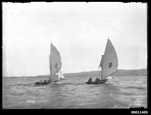 Two16-foot skiffs racing on Sydney Harbour, Rose Bay in distance