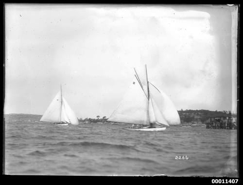 Yachts on Sydney Harbour, INSC 2264