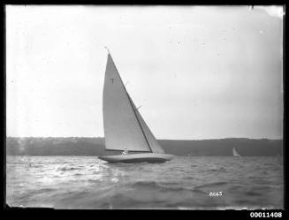 Yacht NORN on Sydney Harbour, INSC 2265