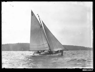 Prince Alfred class yacht RIAWENA (P3) on Sydney Harbour, INSC 2270