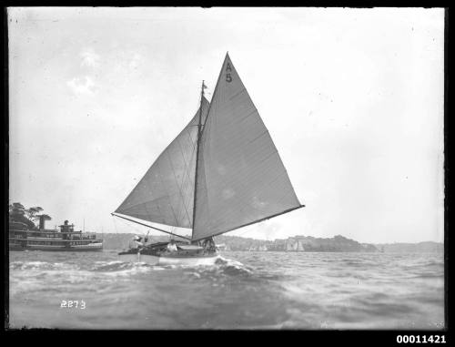 HOANA (A5) on Sydney Harbour, INSC 2273