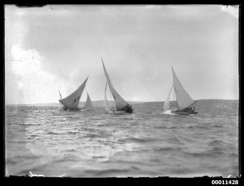 18-footers on Sydney Harbour, inscribed 2277