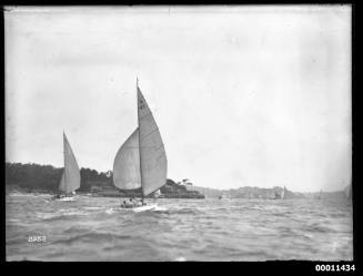 Two sloops P2 and A42 head down harbour past Nielsen Park with spinnakers set