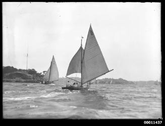 SASC yachts JUNE BIRD (A19) and MISCHIEF (A2) off Nielsen Park, Sydney Harbour, inscribed 2285