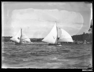 18-footers KISMET and GLORIA  sailing off Neilsen Park, Vaucluse, Sydney Harbour