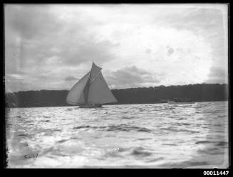 Yacht RAWHITI on Sydney Harbour, followed by the launch OOMOOBAH