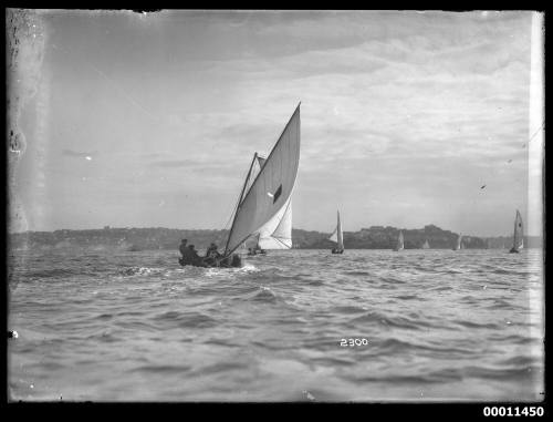 14-footer fleet sailing downwind on Sydney Harbour