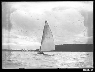 8-metre Class yacht BRAND V on Sydney Harbour, INSC 2310