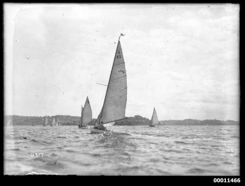 SASC fleet on Sydney Harbour, INSC 2317