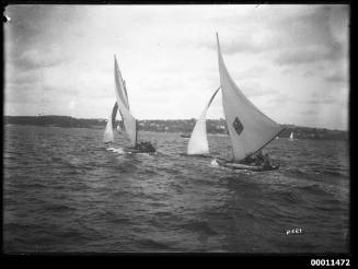 18-footers on Sydney Harbour, inscribed 2321