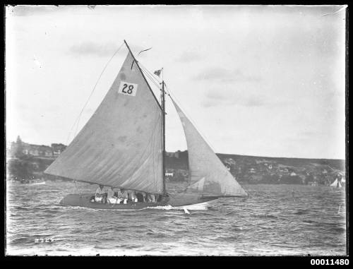 Sailing vessel on Sydney Harbour, INSC 2325