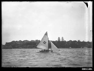 Lane Cove 12-foot skiff on Sydney Harbour, INSC 2325