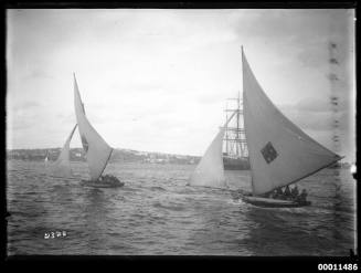 18-footers MASCOTTE and KISMET with training  vessel TINGIRA in background on Sydney Harbour