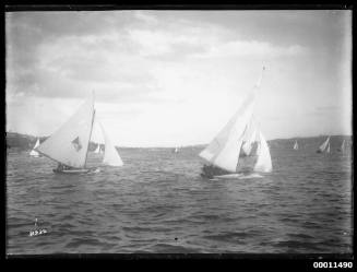 18-footers GOLDING, DESDEMONA and MISSISSIPPI on Sydney Harbour, inscribed 2330