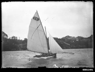 Small skiff near the shoreline on Sydney Harbour