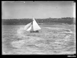 Sailing vessel on Sydney Harbour, INSC 2354