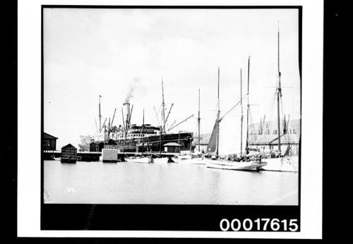 SS ZEALANDIA at a wharf