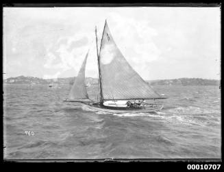 SASC yacht A13 on Sydney Harbour, INSC 960