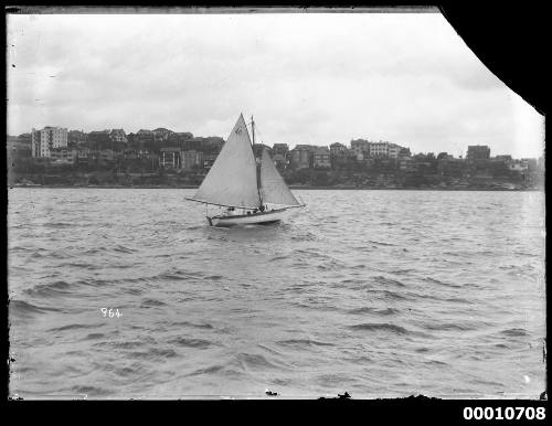 SASC yacht A40 on Sydney Harbour, INSC 964