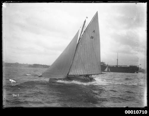 SASC yacht JUNE BIRD on Sydney Harbour, INSC 967