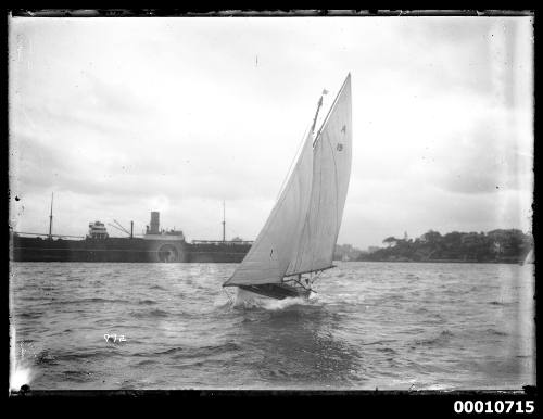 Yacht JUNE BIRD on Sydney Harbour, INSC 972