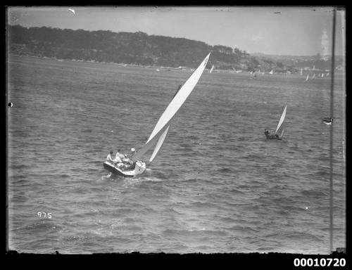 21-foot restricted class yacht C11 on Sydney Harbour, INSC 975